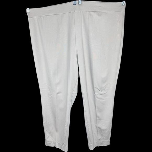 SUSAN‎ GRAVER Everyday Slim Leg Pants Beige Pull On Stretch 3X NWT Comfort - Picture 1 of 9